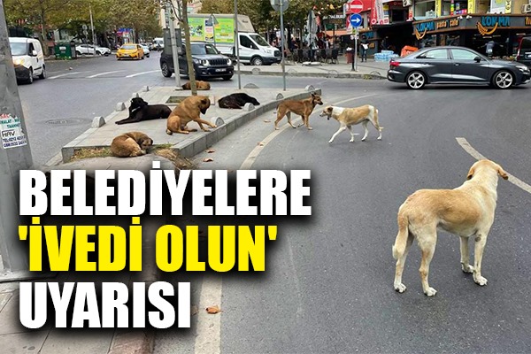 Samsun'da belediyelere 'ivedi olun' uyarısı