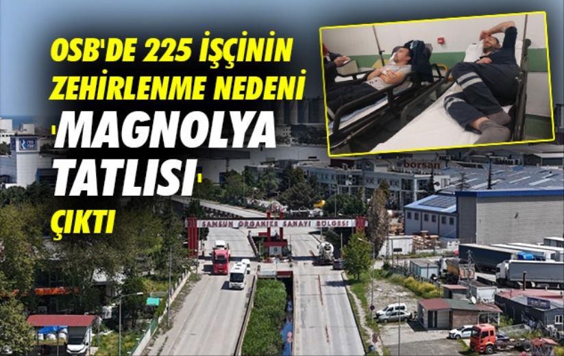 Samsun OSB'de 225 işçinin zehirlenme nedeni 'magnolya tatlısı' çıktı