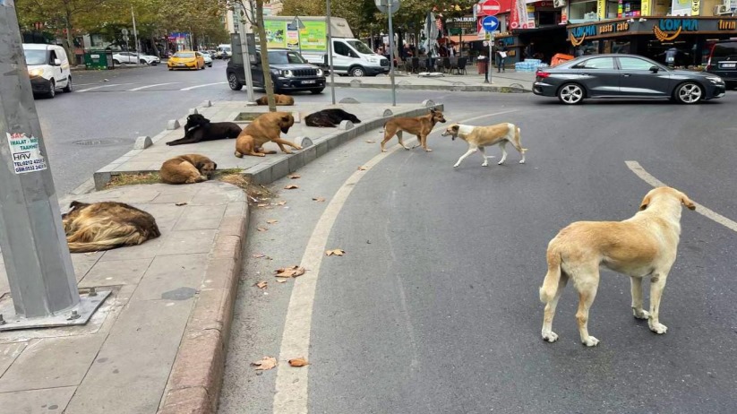 Samsun'da belediyelere 'ivedi olun' uyarısı