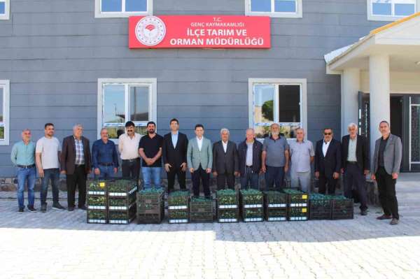 Genç'te üreticilere sebze fidesi dağıtıldı
