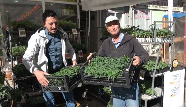 Tavşanlı'da fide çeşitliliği ile verimli sezon bekleniyor