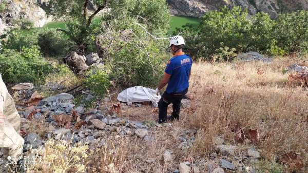 Bitlis'te trafik kazası: 1 ölü - Bitlis haber