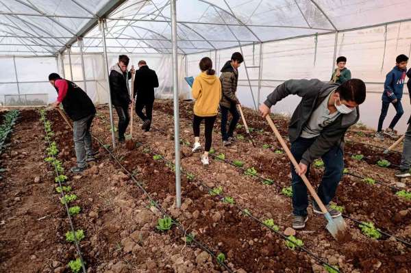 Mardin'de meslek lisesinde uygulamalı tarım eğitimi - Mardin haber