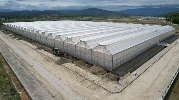 Yüksek teknolojiyle topraksız tarım, sıfır atık ve kadın istihdamıyla örnek model oldu