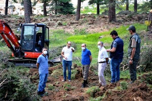 Bölge Müdürü Keskin: 'Ormanlarımızı gençleştirmek için çalışıyoruz' 