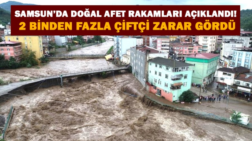 Samsun'da doğal afet rakamları açıklandı! 2 binden fazla çiftçi zarar gördü