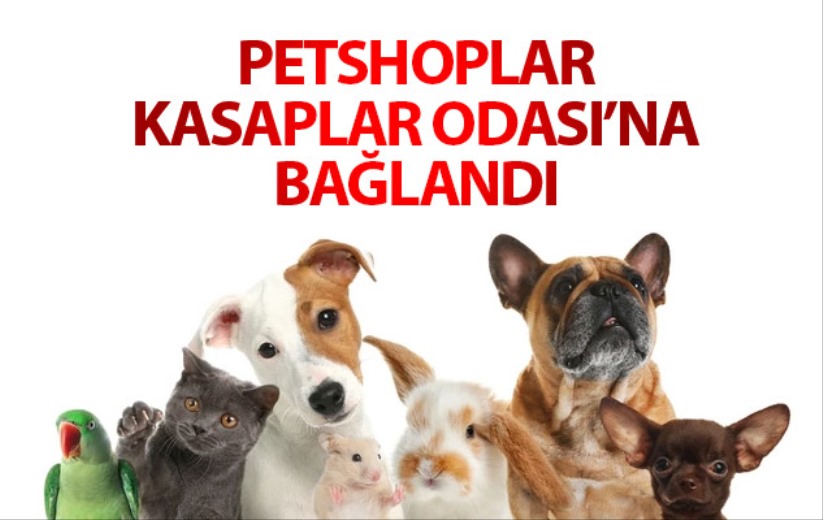 Petshoplar, Kasaplar Odası'na bağlandı