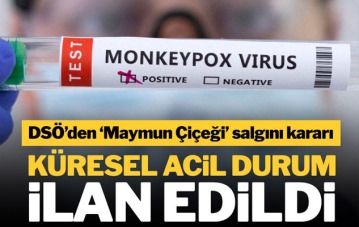 Maymun çiçeği virüsü için 'küresel acil durum' ilan edildi
