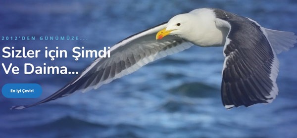 Tercüme ve İngilizce Çeviri Fiyatları - Okeanostercume.com.tr