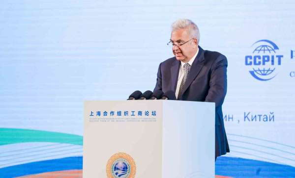 ''Türkiye-Çin ekonomik ortaklığı sadece ticaret değil, birlikte kalkınma vizyonudur''