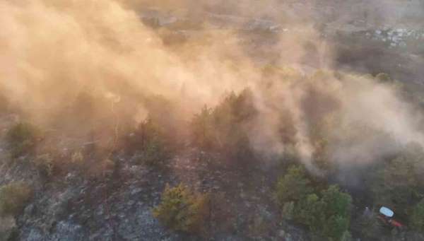 Ordu'da ormanlık alanda çıkan yangın söndürüldü