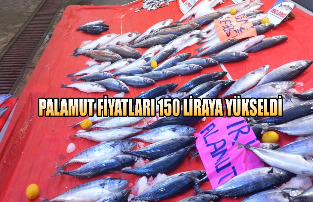 Palamut fiyatları 150 liraya yükseldi