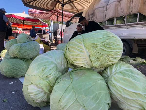 Erzincan'da turşuluk ve yemeklik lahanalar tezgahta yerini aldı