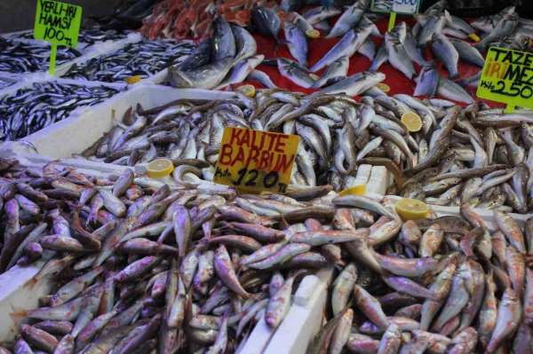 Samsun'da hamsi bolluğu fiyatları düşürdü: 'Fakirin eti' oldu