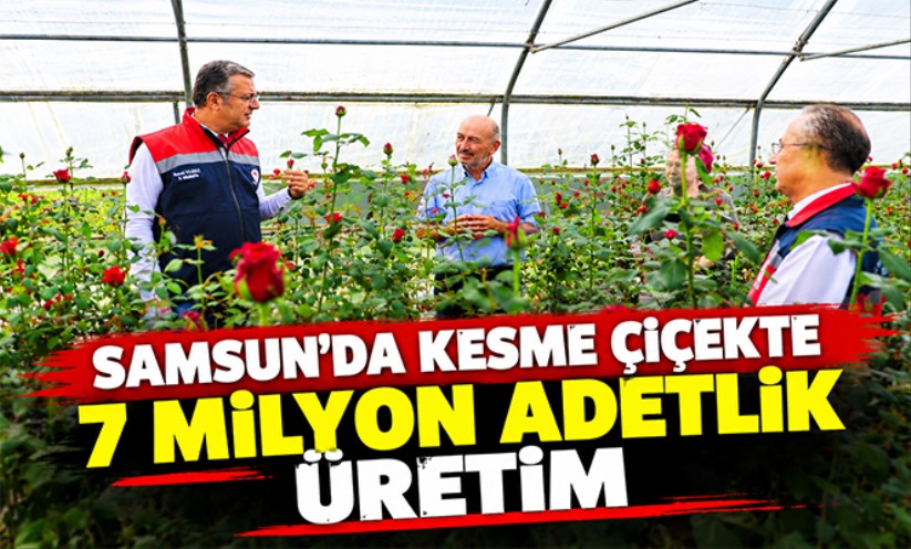 Samsun'da kesme çiçekte 7 milyon adetlik üretim