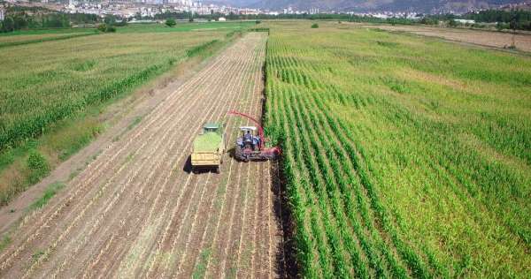 Tokat'ta 243 bin 490 dekar tarım arazisi sulandı 