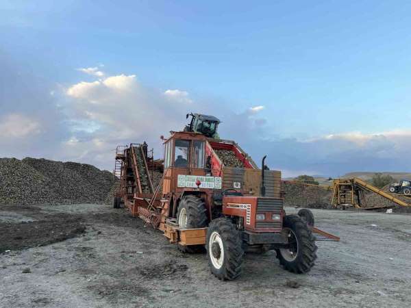 Kars'ta şeker pancarı hasadında yoğun mesai: Çiftçiler zamanla yarışıyor