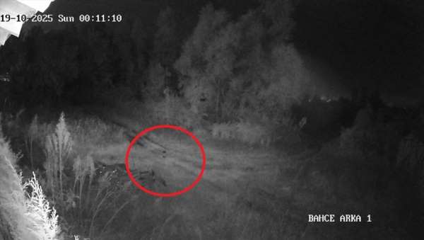 Samsun'da 2 haftadır kayıp olan genç ilçede paniğe yol açtı: Vatandaşlar tedirgin