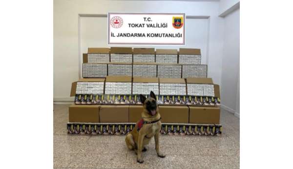 Tokat'ta 1 milyon 200 bin TL değerinde bandrolsüz makaron ele geçirildi