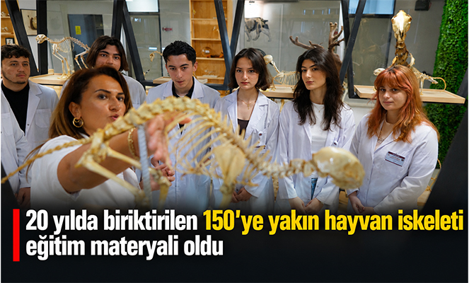 20 yılda biriktirilen 150'ye yakın hayvan iskeleti eğitim materyali oldu