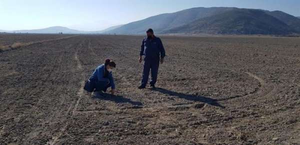 Isparta'da yerli tohum denemeleri