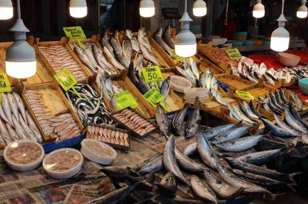 Bandırma'da balık fiyatları lodos ve soğuk hava nedeniyle yükseldi - Balıkesir haber