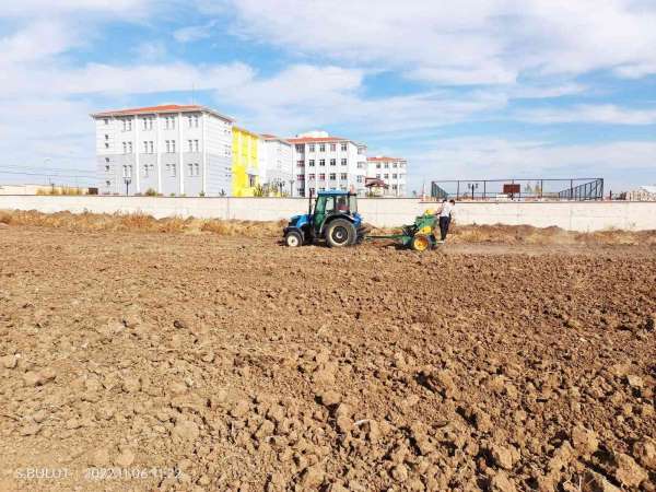 Çavdarhisar'da öğrenciler okula ait 100 dekar alana 2 ton buğday ekti - Kütahya haber