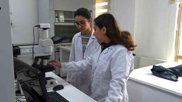 BTÜ'den Türkiye'de bir ilk: Lise öğrencileri bir ay boyunca üniversiteli oldu