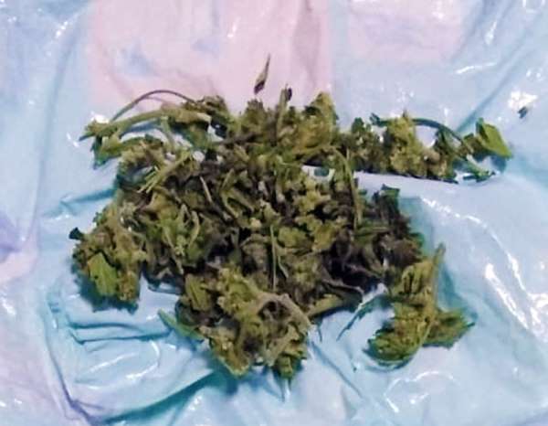 Sinop'ta kubar esrar ele geçirildi: 4 gözaltı