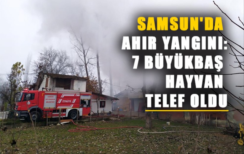 Samsun'da ahır yangını: 7 büyükbaş hayvan telef oldu
