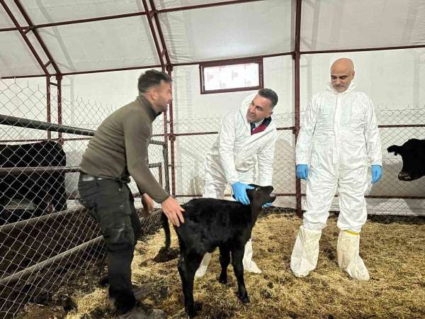 Pertek'te kırsala bereket: Genç veterinere hayvancılık desteği