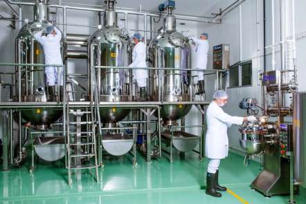 Bodrum'a 10 milyon lira yatırımla bitkisel üretim tesisi kuruldu 