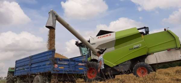 Kocaelili 10 bin çiftçiye, ücretsiz danışmanlık ve veterinerlik hizmeti