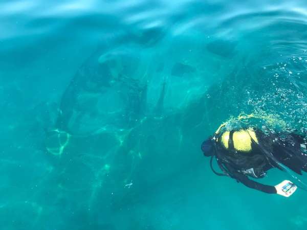 Van Gölü'ndeki Rus batıkları dalış turizmine kazandırılacak