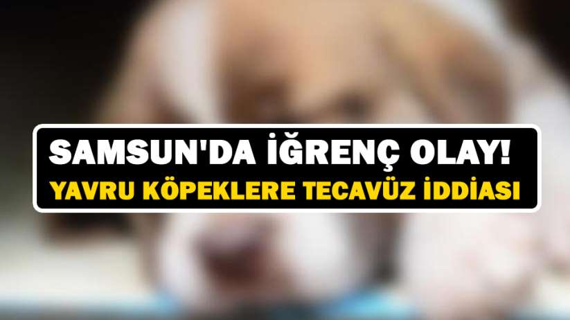 Samsun'da iğrenç olay! Yavru köpeklere tecavüz iddiası