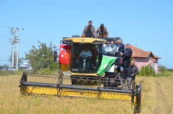 Protokol çeltik hasadında 