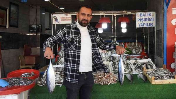 Kebap diyarı Kilis'te balık dönemi - Kilis haber