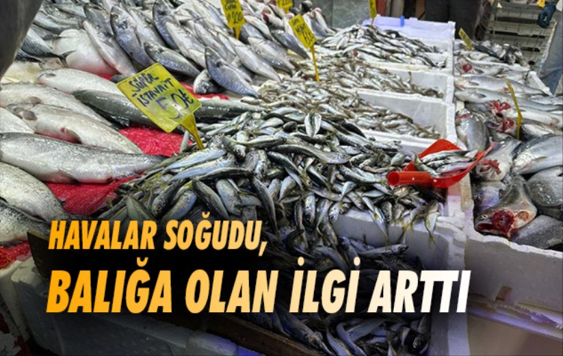 Samsun'da havalar soğudu, balığa olan ilgi arttı