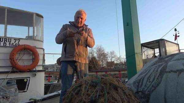 Rotayı Marmara'ya çeviren balon balığı balıkçıları endişelendirdi