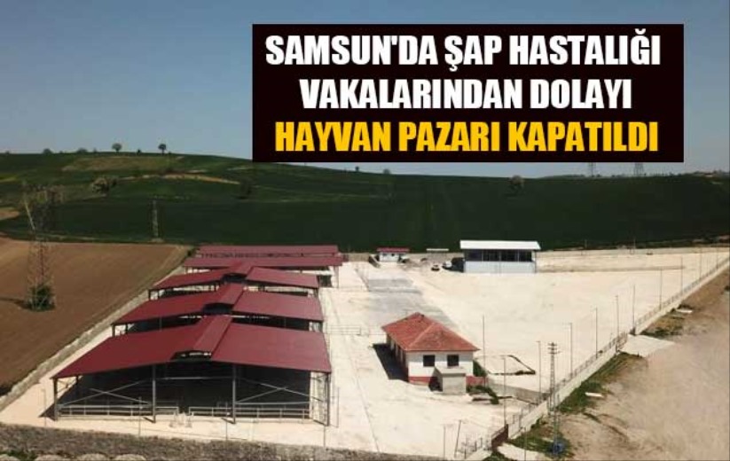 Samsun'da şap hastalığı vakalarından dolayı hayvan pazarı kapatıldı