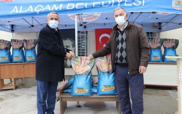 Samsun'da çiftçilere 12 bin kilogram silajlık mısır tohumu hibesi 
