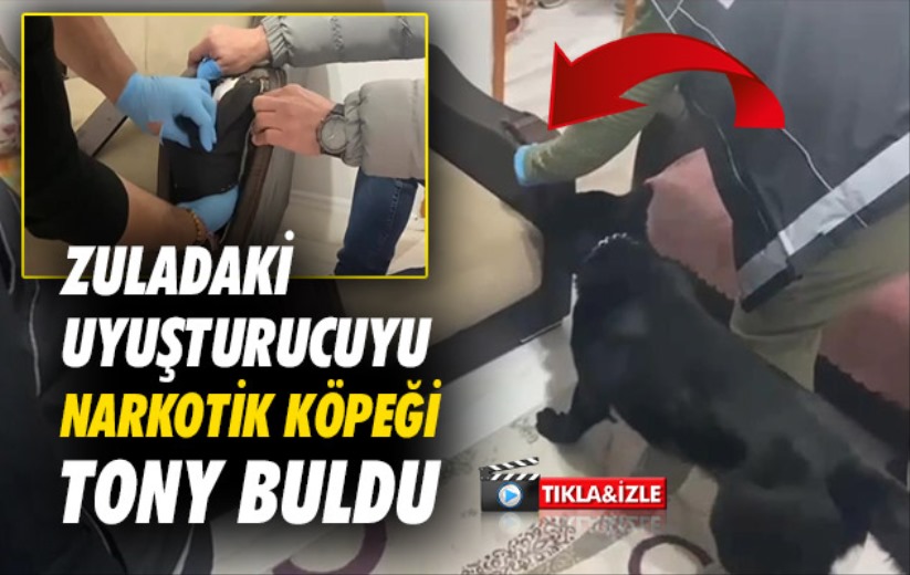 Samsun'da evdeki koltuğa zulalanmış metamfetamini narkotik köpeği Tony buldu