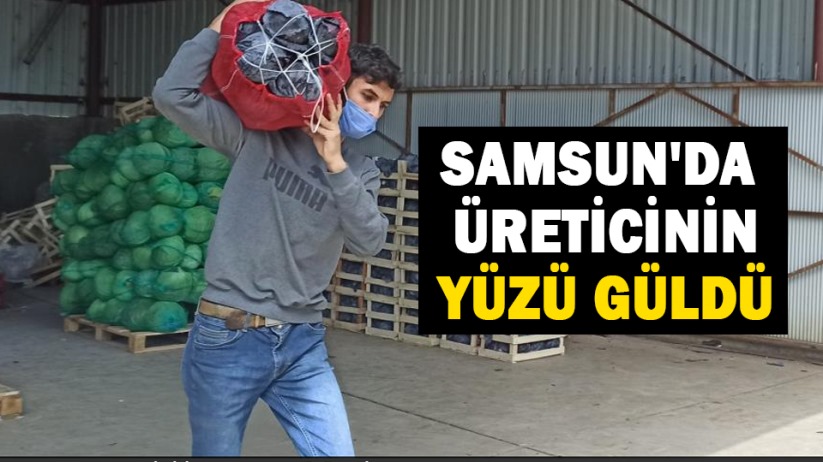 Samsun'da üreticinin yüzü güldü