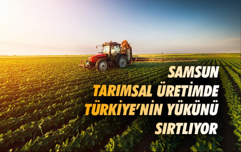 Samsun tarımsal üretimde Türkiye'nin yükünü sırtlıyor