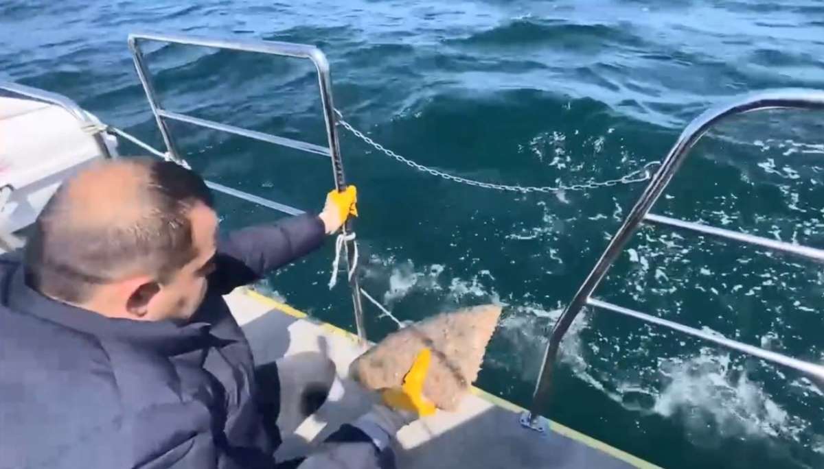 Ordu'da denizde serili kalkan ağına el konuldu