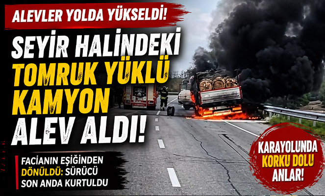 Seyir halindeki tomruk yüklü kamyon alevlere teslim oldu