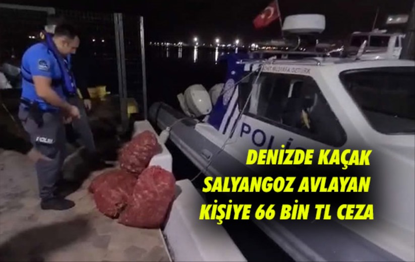 Samsun'da denizde kaçak salyangoz avlayan kişiye 66 bin TL ceza