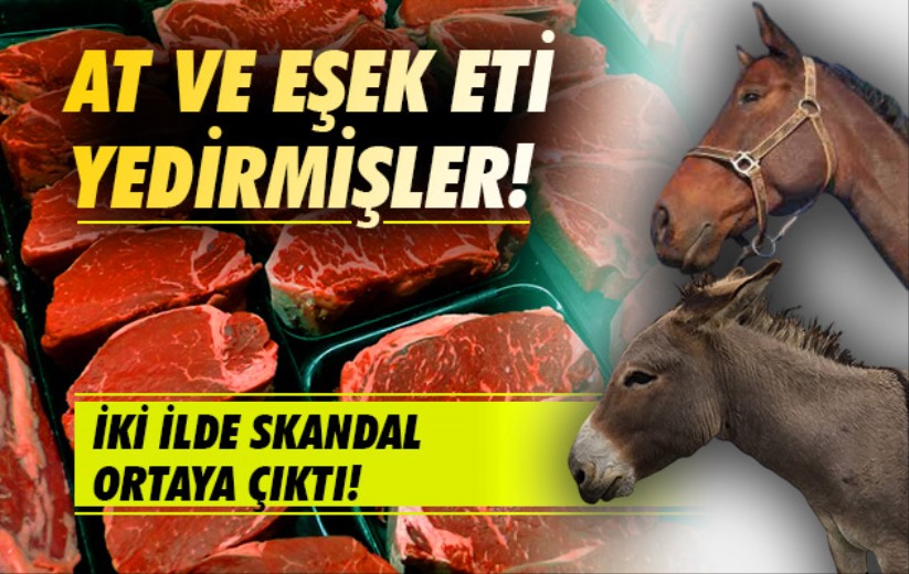 İnsanlara At ve Eşek eti yedirmişler. İki ilde skandal ortaya çıktı!