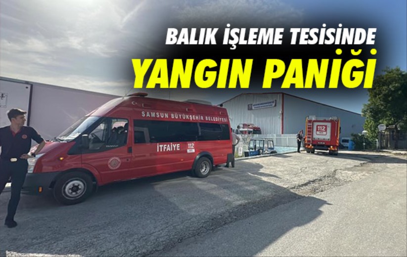 Samsun'da balık işleme tesisinde yangın paniği