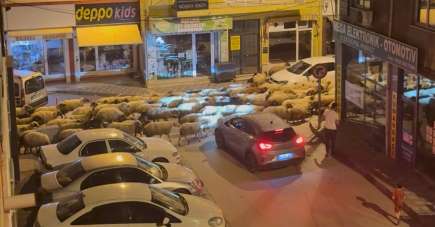 Tokat'ta gece başlayan yayla göçü dronla görüntülendi